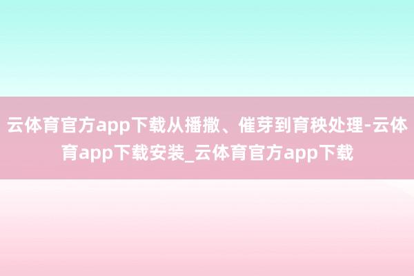 云体育官方app下载从播撒、催芽到育秧处理-云体育app下载安装_云体育官方app下载