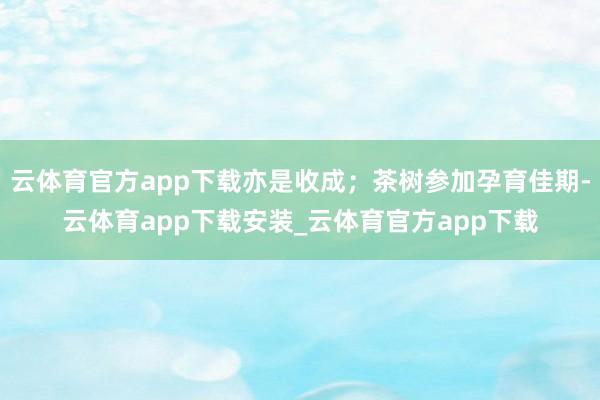 云体育官方app下载亦是收成；茶树参加孕育佳期-云体育app下载安装_云体育官方app下载
