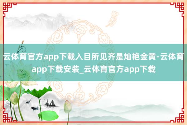 云体育官方app下载入目所见齐是灿艳金黄-云体育app下载安装_云体育官方app下载